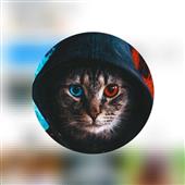B