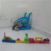 Đ
