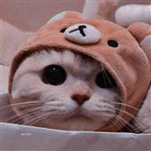 Đ