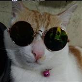Đ