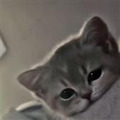 Đ