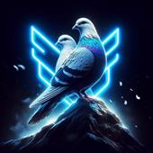 B