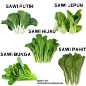 Ứ