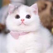 đ
