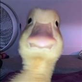 đ