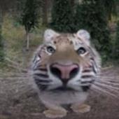 Đ
